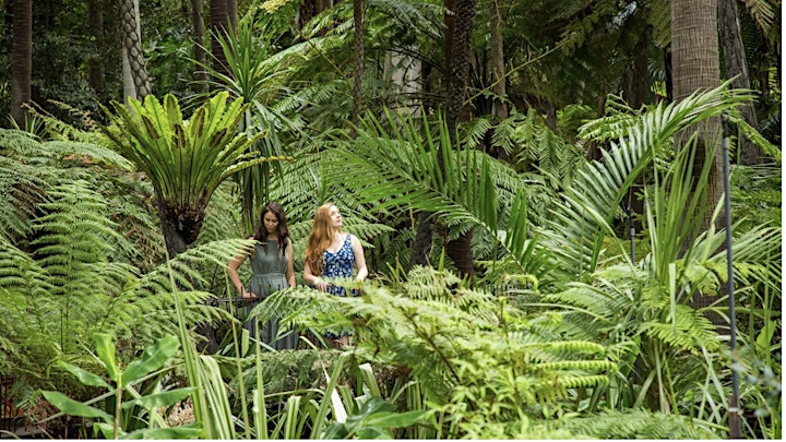
		Health & Wellbeing in Nature - Melbourne Botanic Gardens image
