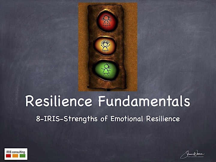 Resilience Fundamentals @ Singapore image