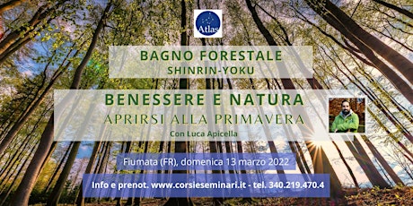 Benessere tra i boschi: aprirsi alla primavera  - Immersione Forestale biglietti