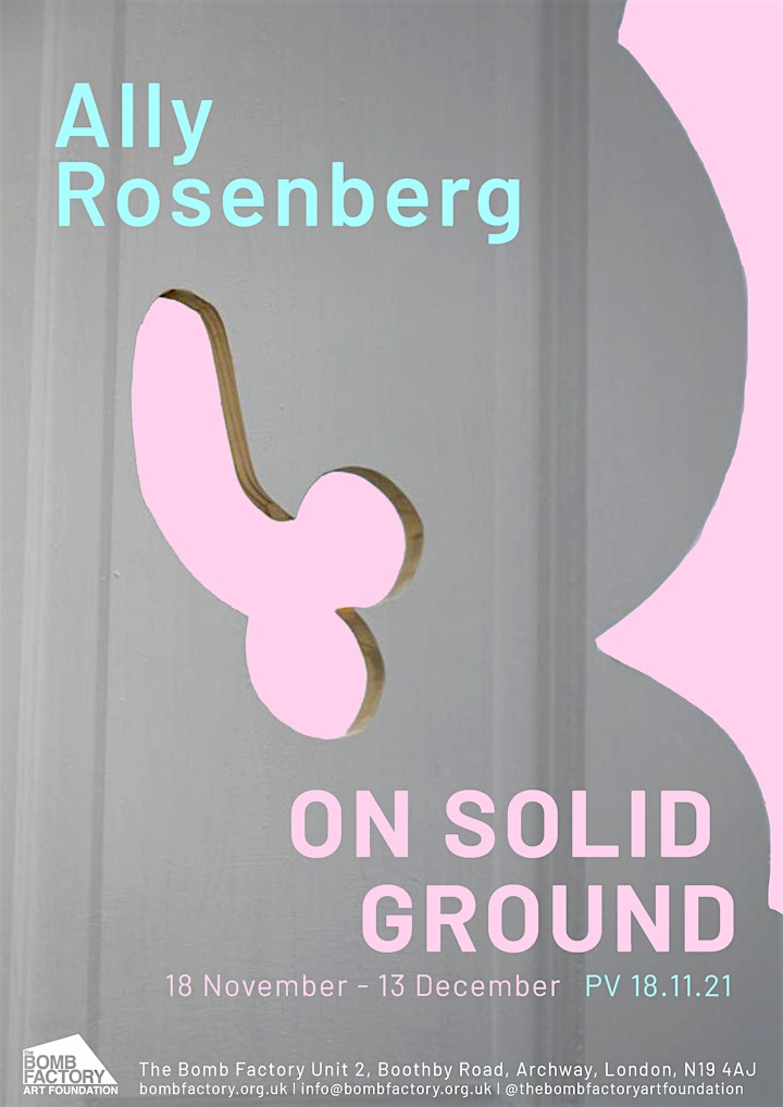 Ally Rosenberg "On Solid Ground" Private View image