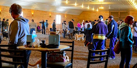 Off-Leash Barn Romp primary image