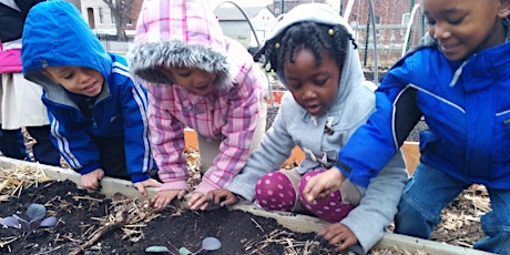 November Virtual School Gardener Meet Up