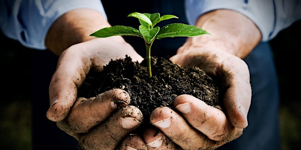 Soil Organic Matter and Healthy Soils- Thea Whitman, UW Soil Science Dept.