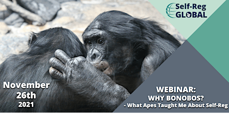 Why Bonobos? What Apes Taught Me About Self-Reg