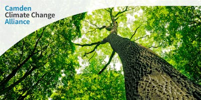 Camden Climate Change Alliance Re-Launch