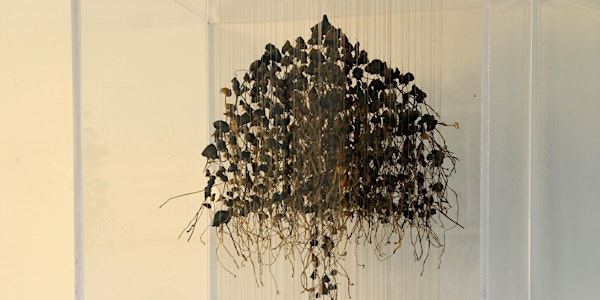 EARTH at ONCA: Exclusive exhibition preview tour with artist Chris Drury