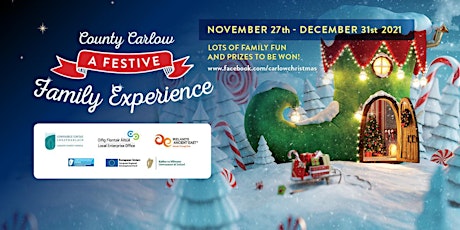 County Carlow - Festive Family Experience Music & Fireworks Event