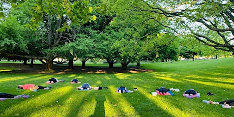 Outdoor Yoga At One Tree Hill primary image