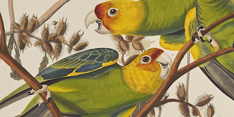 Audubon’s Birds of America tickets