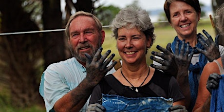 Hands-On Indigo Dyeing : Ossabaw Island Indigo Day Trips