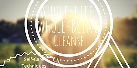 Whole Life-Whole Being Cleanse-Tammy primary image