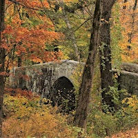 Rockefeller State Park Preserve