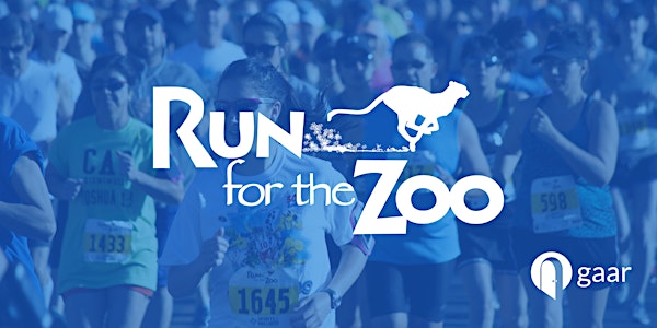 Run for the Zoo 2016 (GAAR Volunteers)