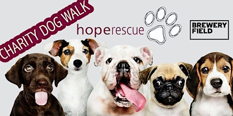 Hope Rescue X Brewery Field: Charity Dog Walk primary image