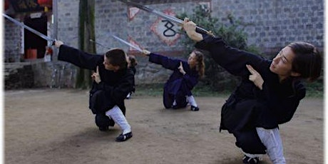 Daoist Tai Chi Sword for Beginners primary image
