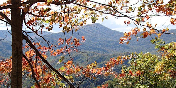 Roadtreking's Great Smoky Mountains Photo Safari
