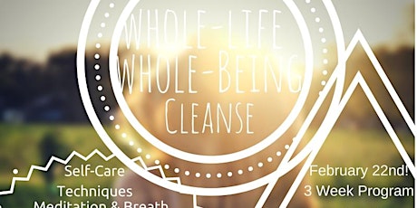 Whole Life-Whole Being Cleanse primary image