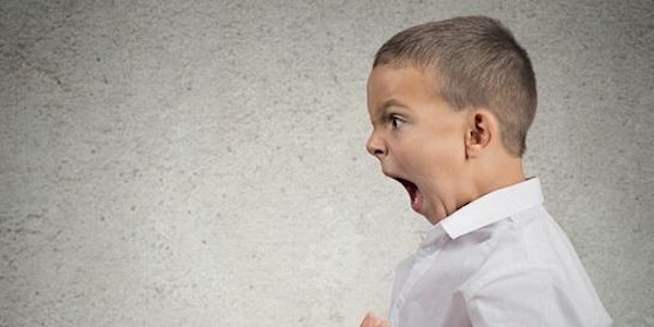 How to manage your child’s challenging behaviors & teach emotion-regulation