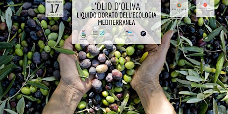 L'olio d'oliva: principe della Dieta Mediterranea