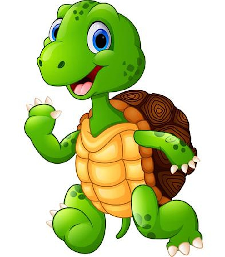 Image de Défi 6-12 heures de la tortue
