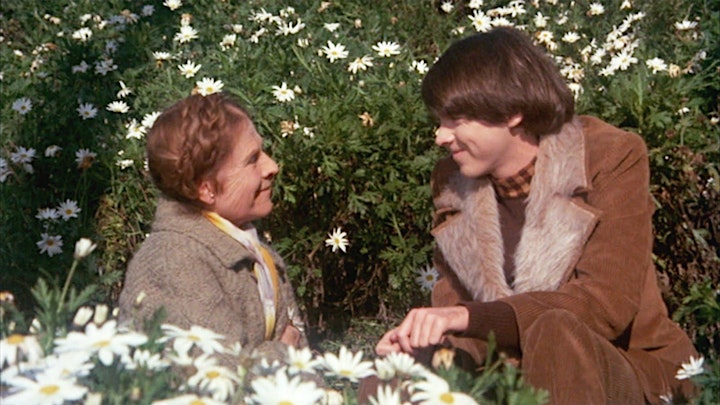 Destination Love: HAROLD AND MAUDE (1971) image