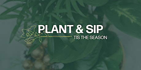 PLANT & SIP