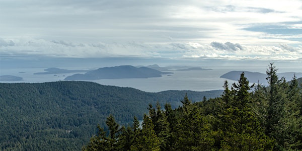 Emerging Biofuel Options for San Juan Forests