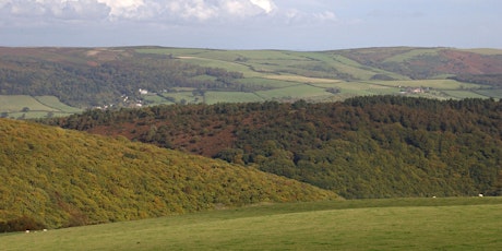Tree Health and Resilient Woodlands: South West England primary image