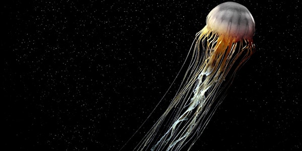 Ocean Literacy Conference 2016