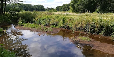 Primaire afbeelding van Kostbaar water in de Schijnvallei