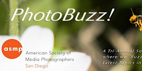 ASMP-SD Return of the PhotoBuzz: Ideas & Planning for a New Year! primary image