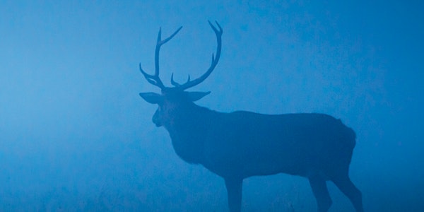 Unsere Wildnis - Special Screening und Gedankenaustausch