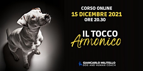 Hauptbild für Il Tocco Armonico - Il corso online