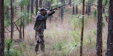 Quail Hunt with Uncle Si primary image