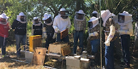 Intro to Beekeeping | Become a Beekeeper 2-day Hands-On Workshop tickets