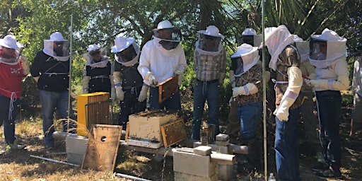 Intro to Beekeeping | Become a Beekeeper 2-day Hands-On Workshop primary image