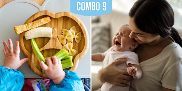 COMBO 9 (BLW- BLISS y Salud Digestiva)