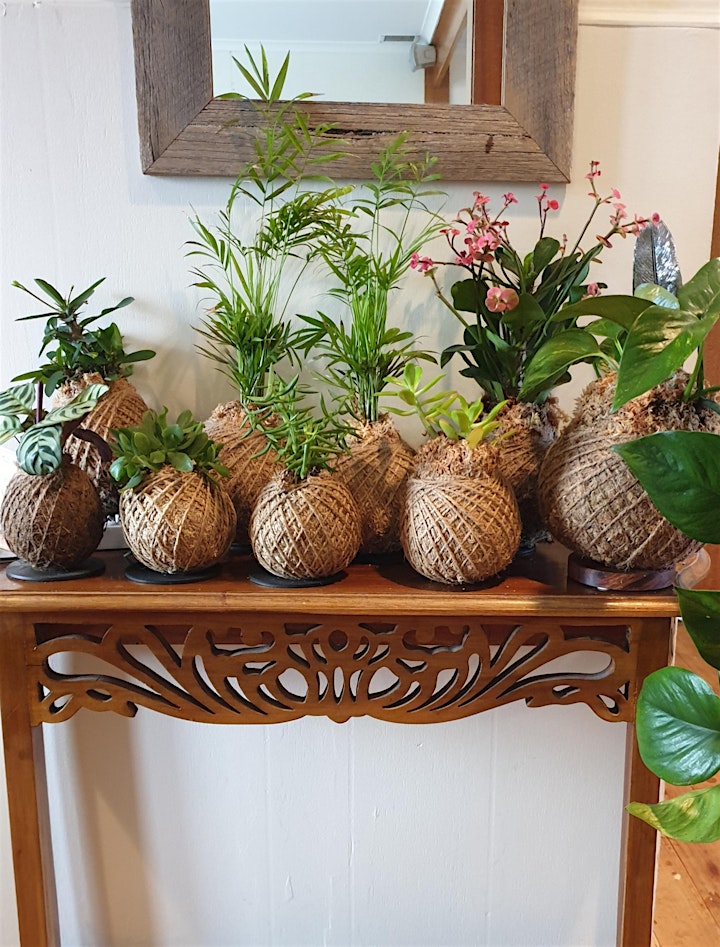 Kokedama Workshop by Gifts from Gaia image