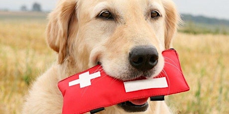 Level 3 Canine First Aid Award Seminar tickets