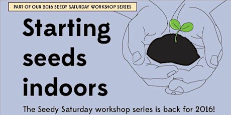 Seedy Saturday: Starting seeds indoors