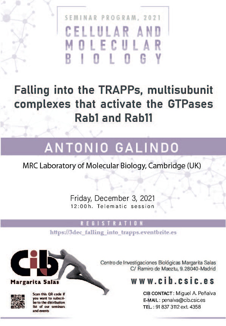 
		Imagen de Falling into the TRAPP, multisubunit complexes that activate Rab1 and Rab11
