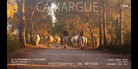 Image principale de Camargue. Exposition de photographies d'Eric Weytens