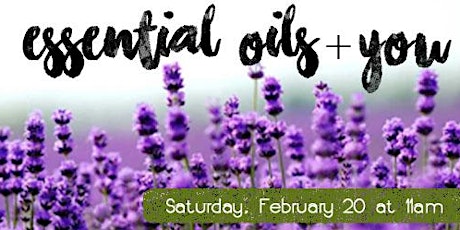 Essential Oils + You primary image
