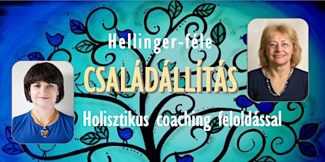 Hellinger-féle CSALÁDÁLLÍTÁS személyre szabott Holisztikus Coaching feloldással #15 primary image