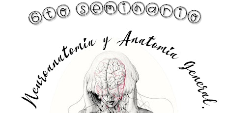 Imagen principal de 6to Seminario Neuroanatomía y Anatomía General