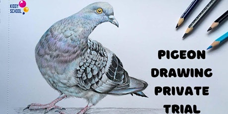 Pigeon Drawing Private Trial tickets