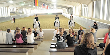 How a Lipizzan Stallion learns to dance tickets