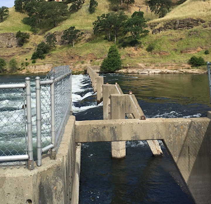ECOS Field Trip: The New American River Fish Ladder image