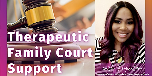 Therapeutic Family Court Support Masterclass