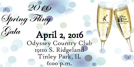 2016 Spring Fling Gala primary image